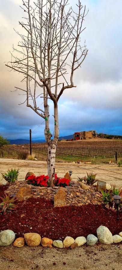 Finca Vidandrei Casa Mazahua บาเย เด กัวลาลูเป ภายนอก รูปภาพ